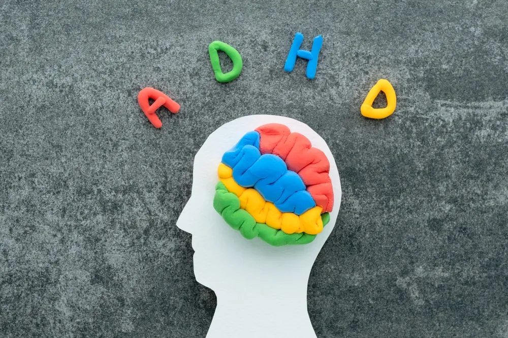 diagnoza-adhd-model-mozgu-i-objawy